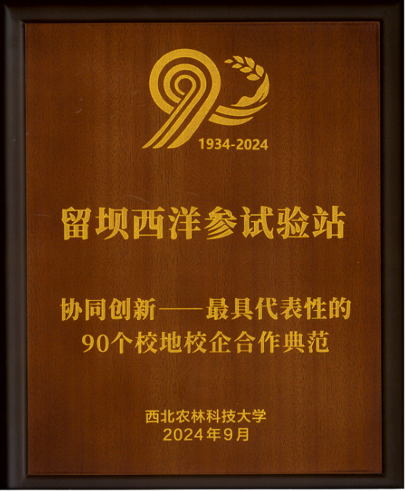 1734340925371.png