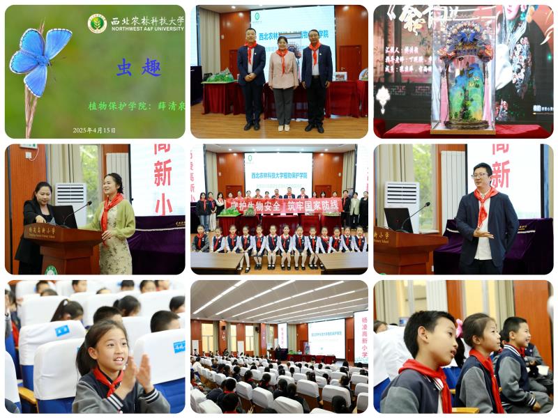 800图片_20250415223046.jpg