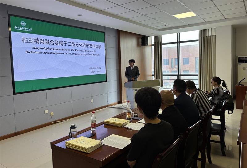 800中期答辩G_2065.jpg