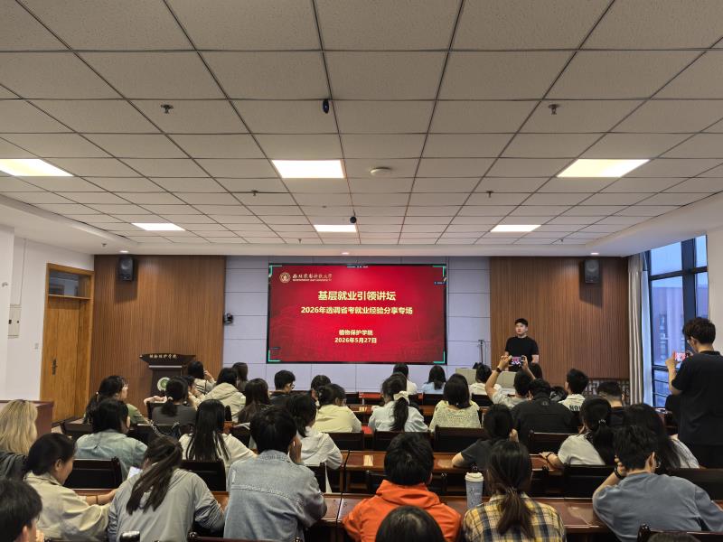 举办基层就业引领讲坛